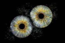 Fanny OLLIVIER - ROUSSELUNE STUDIO