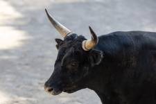 Mathis JOUSSET - MJ Community