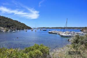 Guillaume SAMAMA - SAMAMA