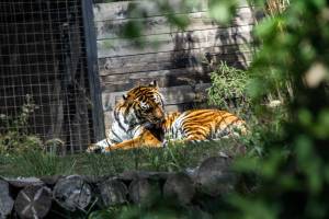 Mathis JOUSSET - MJ Community