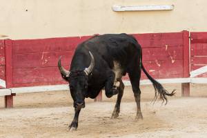 Mathis JOUSSET - MJ Community